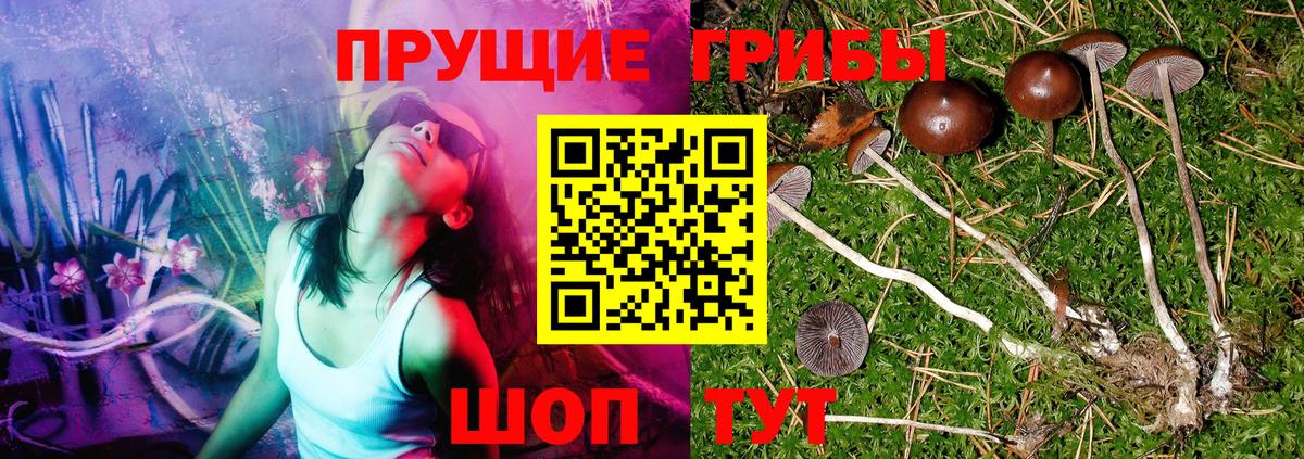 Галлюциногенные грибы Magic Shrooms  Вход с VPN  Ишим 